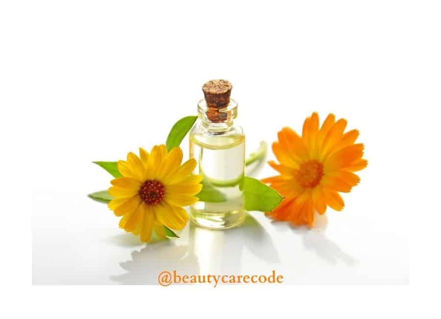 An image of yellow-orange calendula flowers with a small glass bottle of oil in white background to discuss about calendula flower benefits