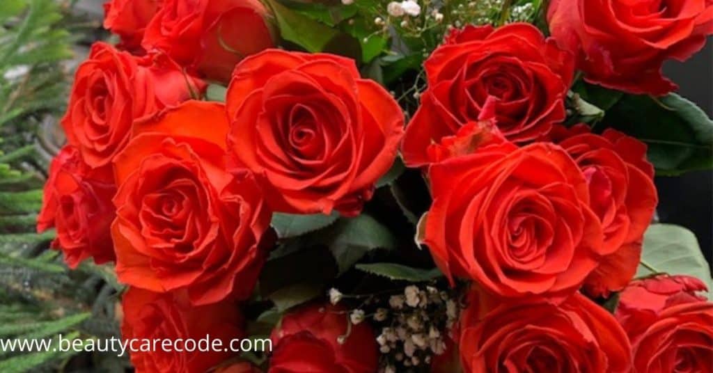 An image of a bouquet of red rose flower